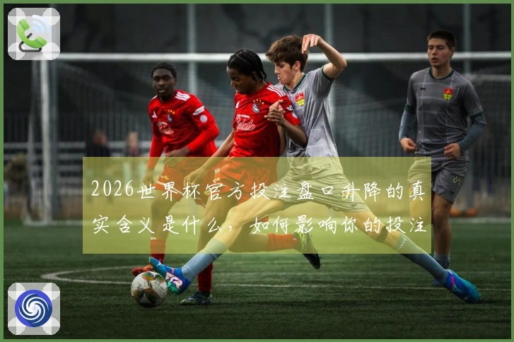2026世界杯官方投注盘口升降的真实含义是什么，如何影响你的投注决策？