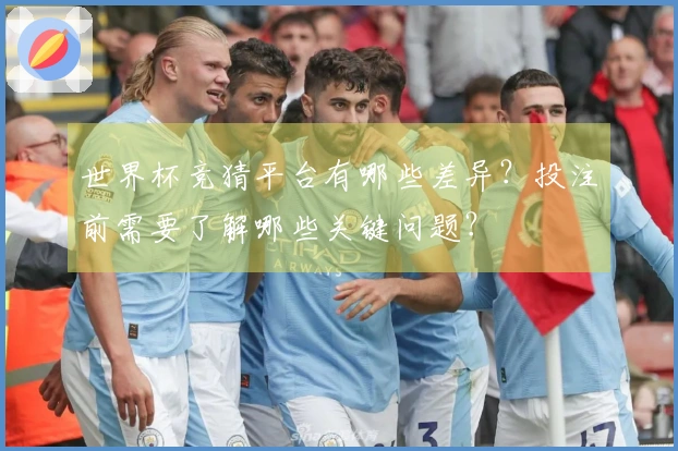 世界杯竞猜平台有哪些差异？投注前需要了解哪些关键问题？