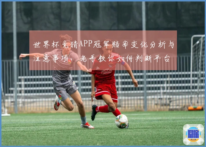 世界杯竞猜APP冠军赔率变化分析与注意事项，老手教你如何判断平台的靠谱性
