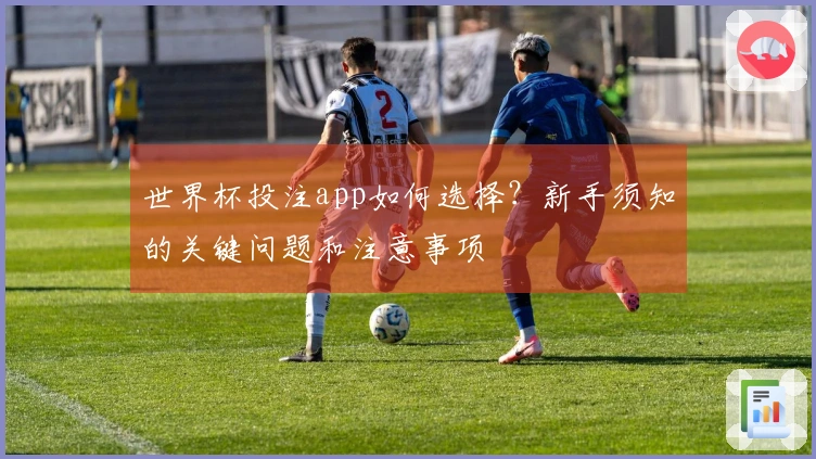世界杯投注app如何选择？新手须知的关键问题和注意事项