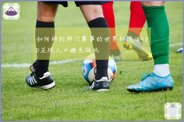 如何辨别热门赛事的世界杯投注app正规入口避免踩坑