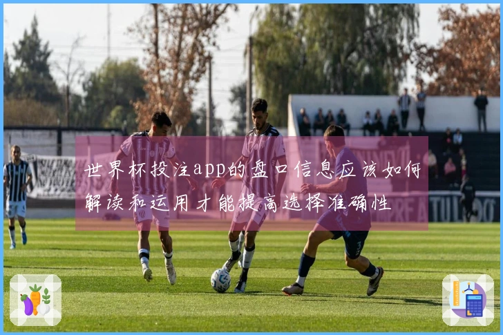 333体育体育资讯精选图