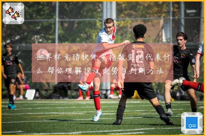 世界杯竞猜软件中指数变化代表什么 帮你理解投注走势与判断方法